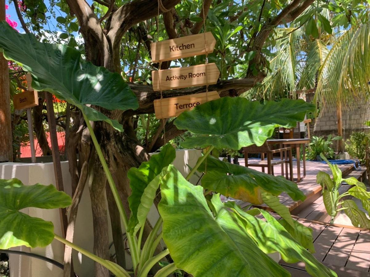 Viluveli Holiday Retreat Hanimaadhoo Island Екстериор снимка